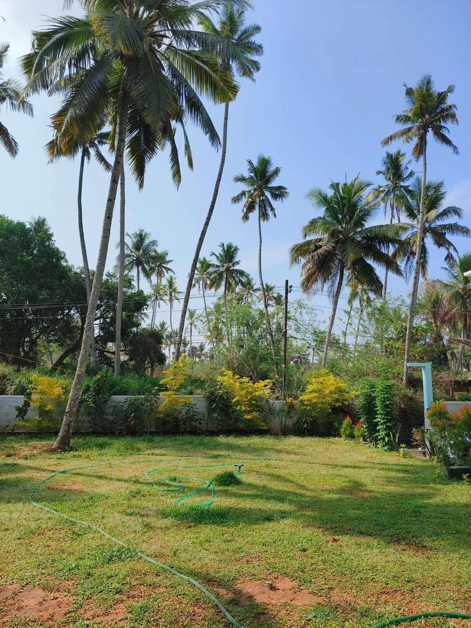 Popple Beach House Varkala Dış mekan fotoğraf